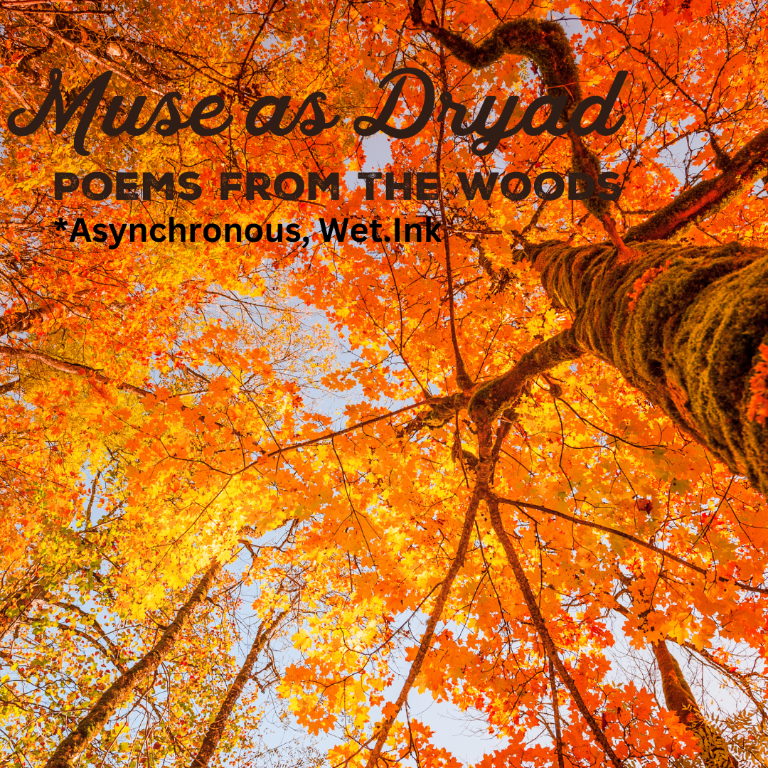 Muse as Dryad Writer's Group