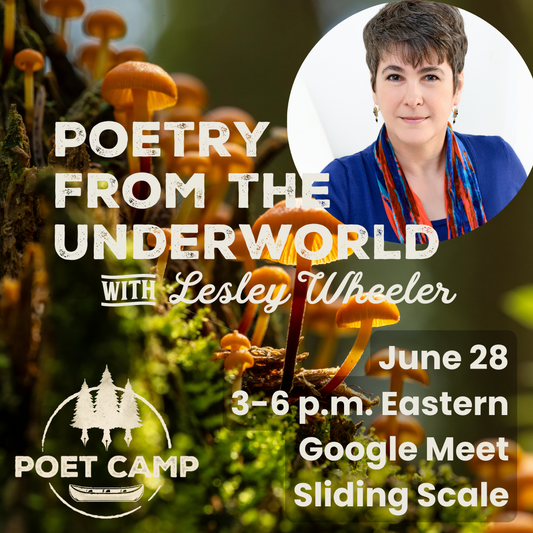 Poetry from the Underworld with Lesley Wheeler