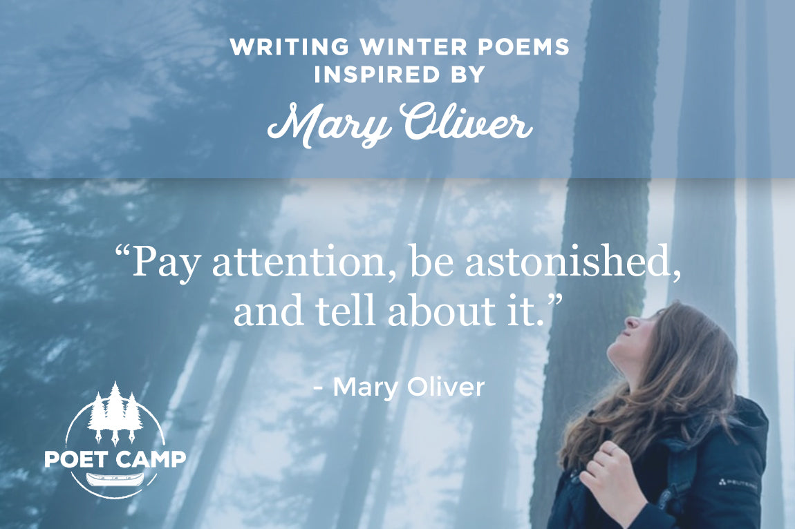 Winter Poems Inspired by Mary Oliver Writer's Group Course